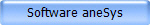Software aneSys